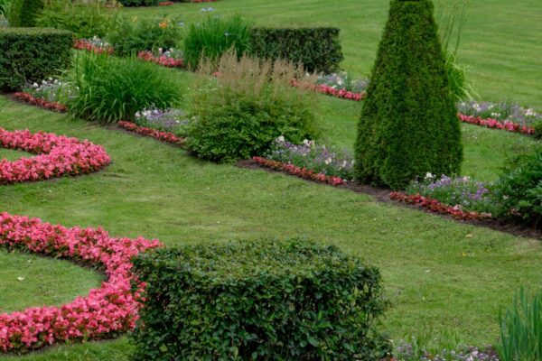 Cum combini gazonul, florile și arbuștii într-o grădină echilibrată