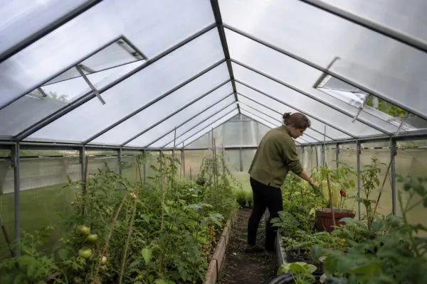 Ce înălțime trebuie să aibă solarul pentru o aerisire eficientă